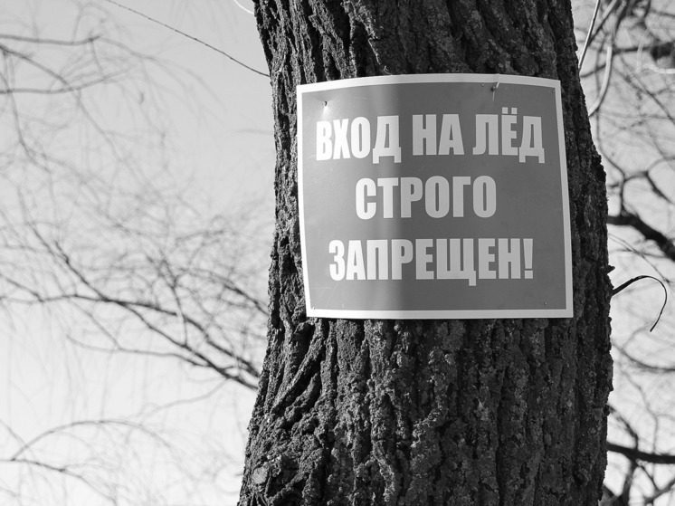 В Кисловодске очевидцы спасли детей, провалившихся под лёд на Старом озере