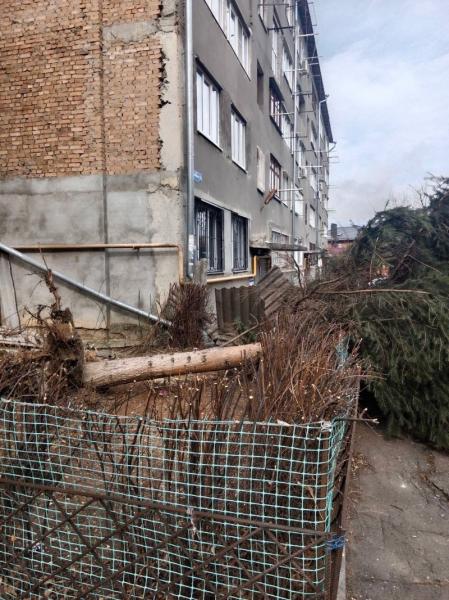 В Кисловодске оперативно убрали упавшую из-за ветра ель