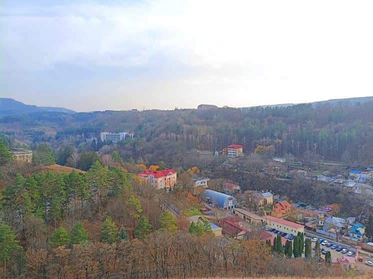 В Кисловодске упавшая ель перекрыла улицу Аджарскую