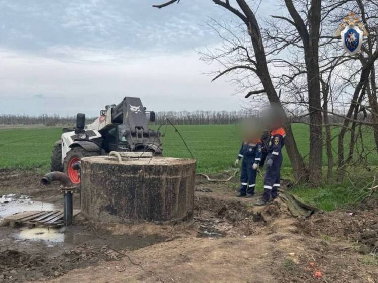 В Михайловске два года в колонии-поселении получили руководители фермы, на которой погибли трое рабочих