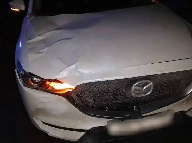 В Новоселицком округе под колесами иномарки погиб мужчина