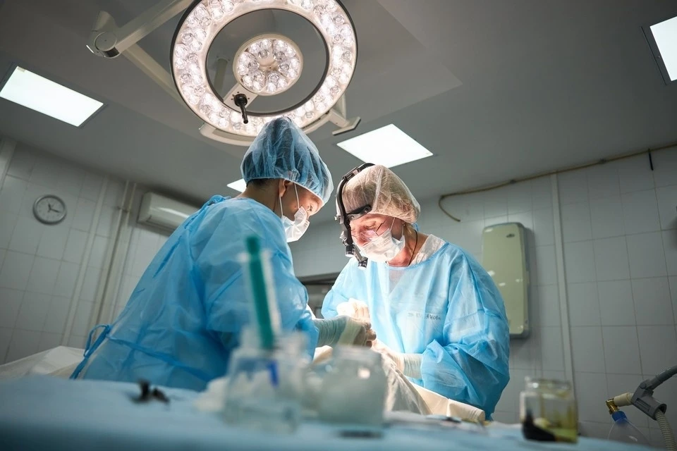 В Петровском округе Ставрополья выявили очаг туляремии и усилили профилактику0