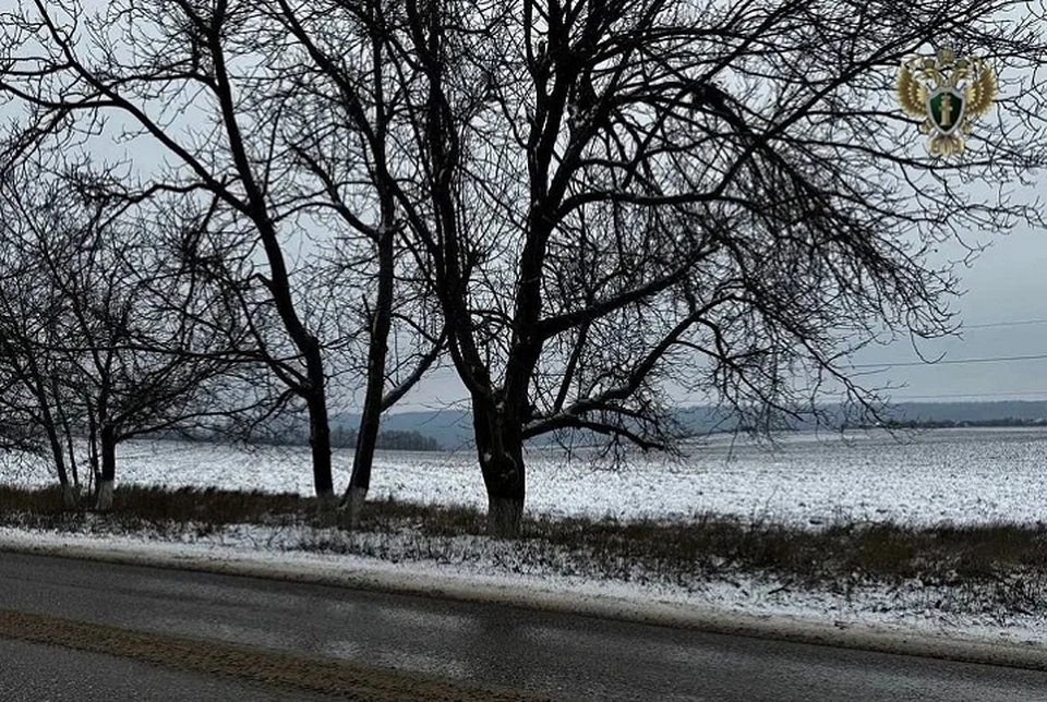 В Предгорье муниципалитету вернут три га земли по требованию прокуратуры0