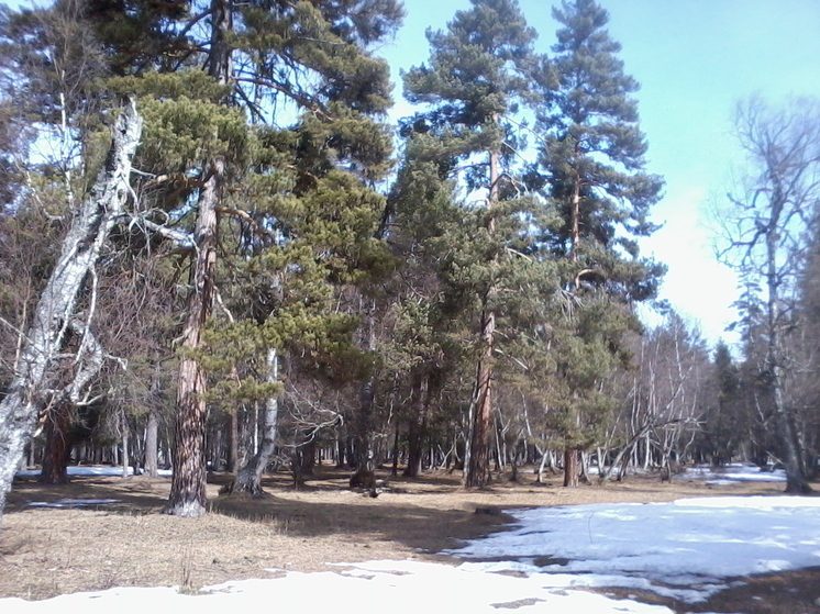 В Ставрополе наградили победителей конкурса «Сохраним природу родного края»