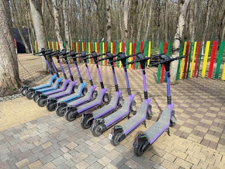 В Ставрополе запустили чат-бот для жалоб на электросамокаты и СИМ