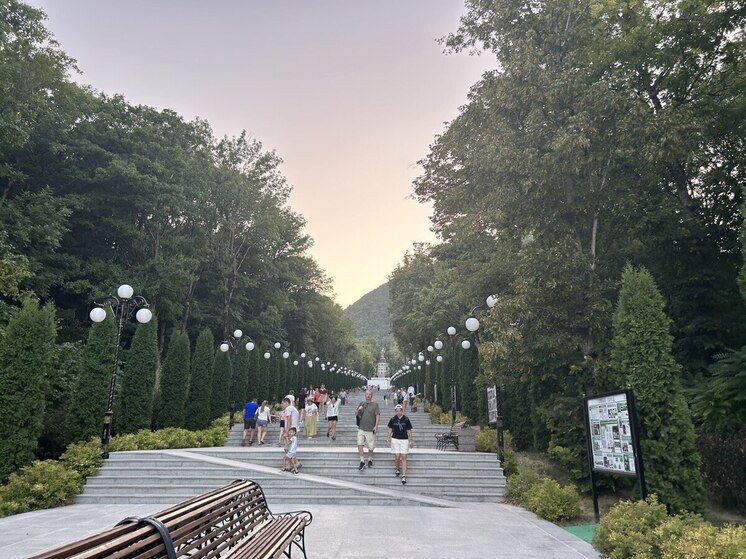 В Железноводске выпустят новых белок для восстановления популяции в Курортном парке