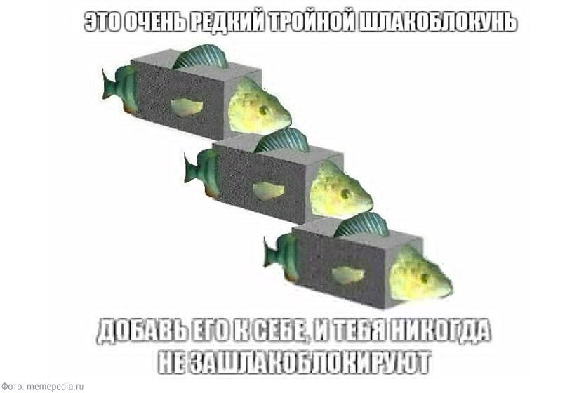 Вжух! — и мы в 2016-м: по каким событиям ностальгирует интернет1