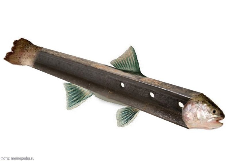 Вжух! — и мы в 2016-м: по каким событиям ностальгирует интернет5