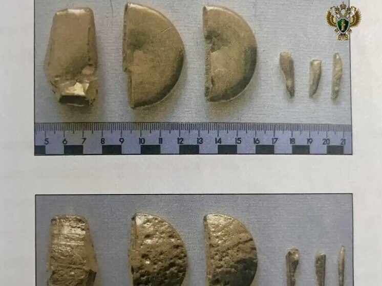 Женщина пыталась вывезти через Минводы в Стамбул шесть слитков золота