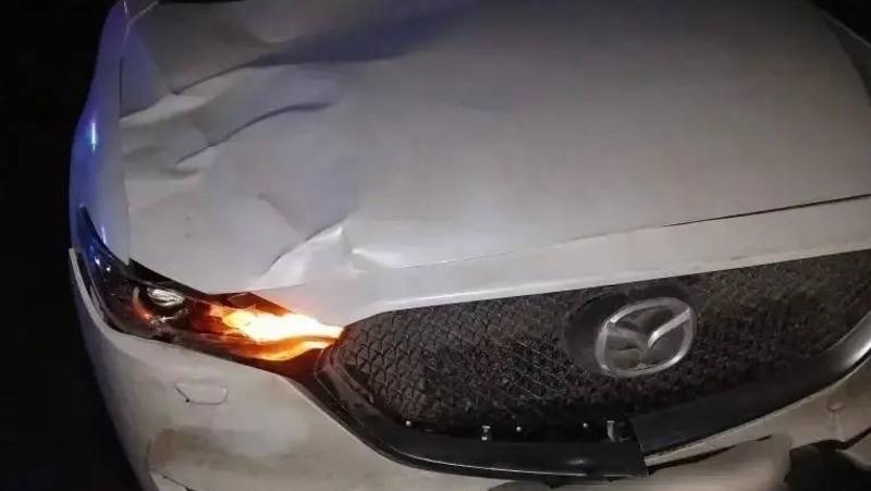 Женщина за рулём иномарки насмерть сбила пешехода в Новоселицком округе