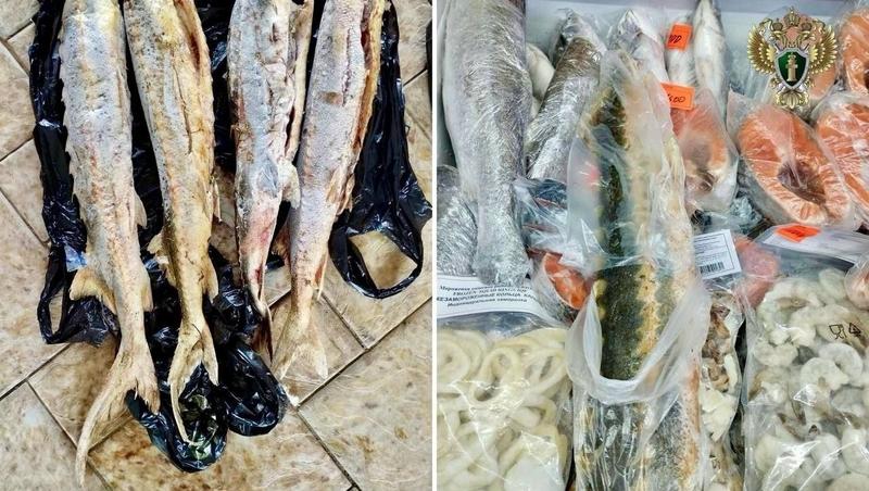 Жительница Нефтекумска за перепродажу семи осетров получила срок и штраф