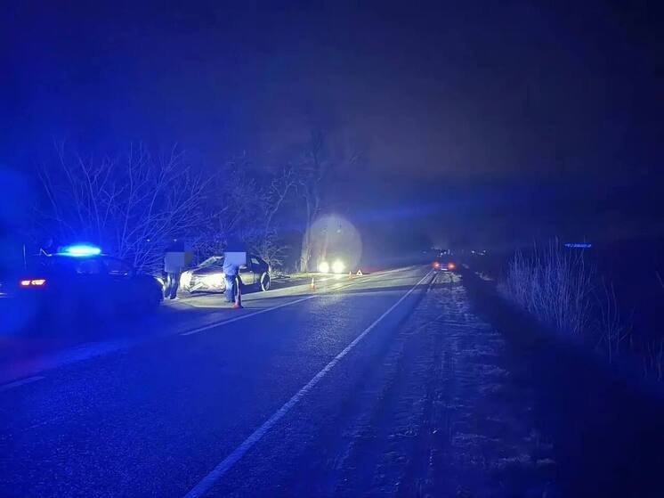 Жительница Невинномысска за рулем иномарки сбила пьяную велосипедистку