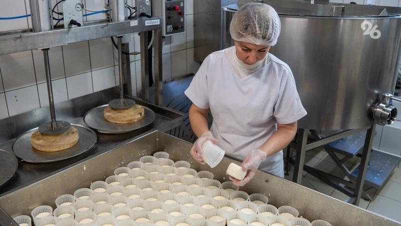 10 новых производителей молочной продукции появились за два года на Ставрополье