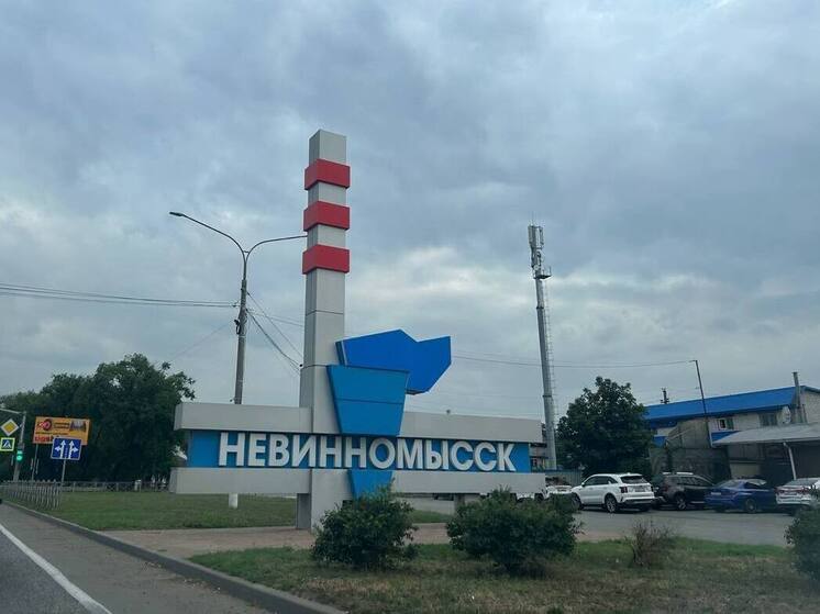 300 новых рабочих мест и заводы-гиганты: Владимиров обсудил развитие ТОСЭР в Невинномысске