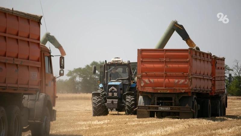 Аграрии Ставрополья получат компенсации за уже проведённые работы &mdash; минсельхоз