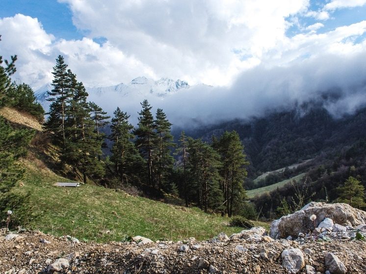 Археологи обнаружили в Ассинском ущелье Ингушетии курганы бронзового века