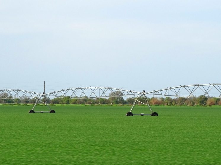 Более 2 млрд рублей направят на развитие растениеводства Кабардино-Балкарии в 2026 году