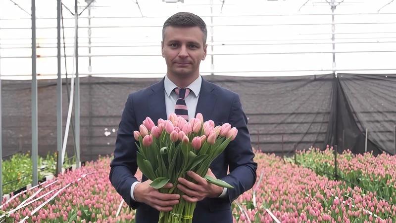 Более 4 млн тюльпанов вырастили к 8 Марта в Кочубеевском округе