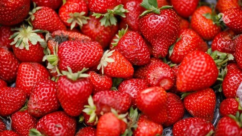 Более 80 тонн клубники из Предгорного округа поступило на прилавки к 8 Марта