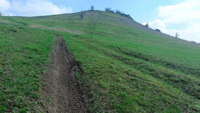 Глава Александровского округа призвал мотогонщиков не кататься по горе Лягушке