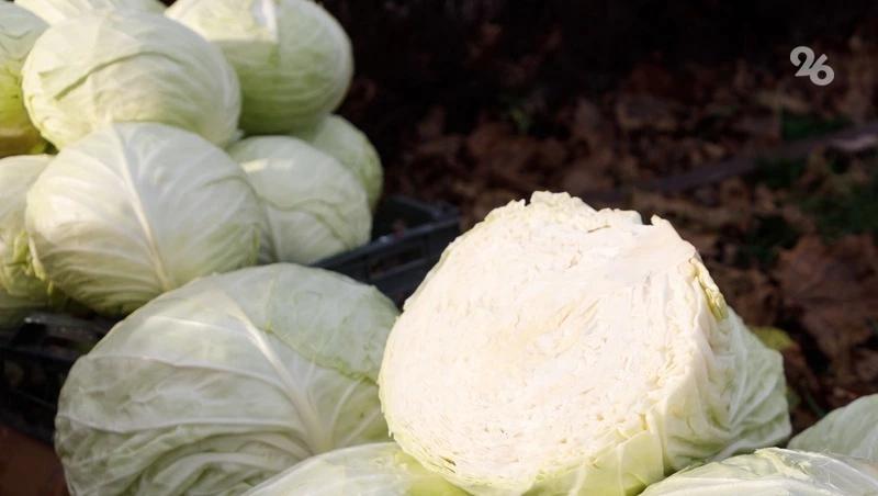 Грузоперевозки между Россией и Ираном сократились в 10 раз на фоне войны