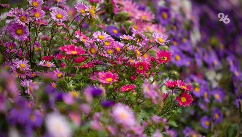 &laquo;Я тебя люблю, мама&raquo; прозвучало 8 марта для кисловодчанок на разных языках