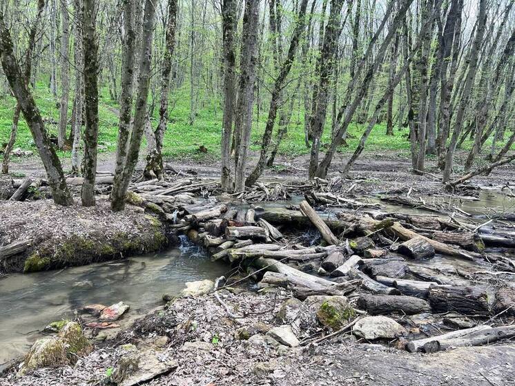 Клещи вышли на охоту: Роспотребнадзор Ставрополья предупредил о начале сезона инфекций