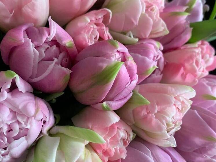 Мэр Ставрополя поздравил матерей и вдов участников СВО с 8 Марта