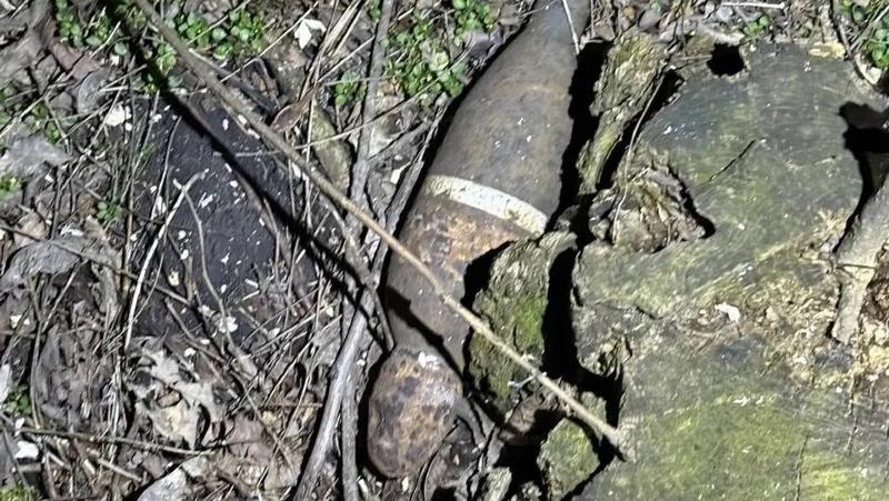 Мину времён Великой Отечественной войны нашли рядом с кладбищем в Предгорье