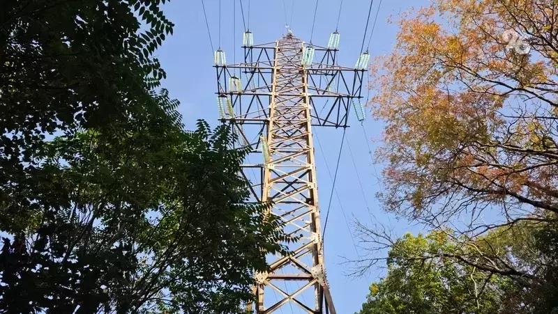 Модернизация электросетей началась в Предгорном округе Ставрополья