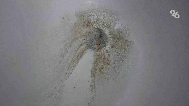 Мутная вода может пойти из кранов в домах ессентучан с 24 марта