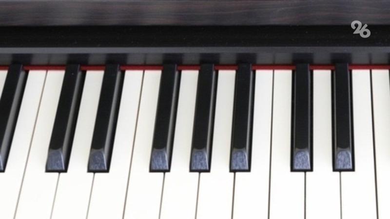 Музыкальные инструменты закупят для школы искусств в Степновском округе