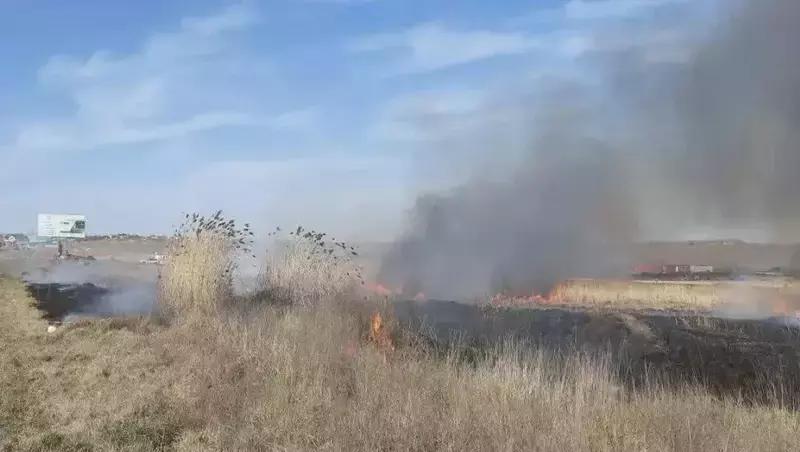 На окраинах Ставрополя выжигают растительность