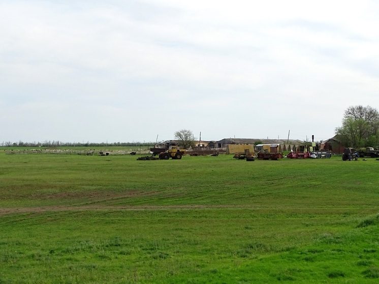 На Ставрополье обследовали свыше 17 тысяч га озимого рапса