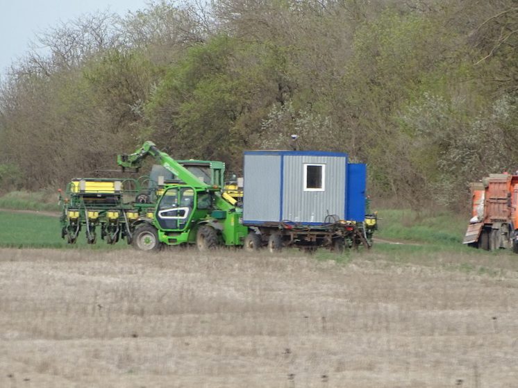 На Ставрополье обследовали свыше 900 тыс. га сельхозземель на присутствие грызунов