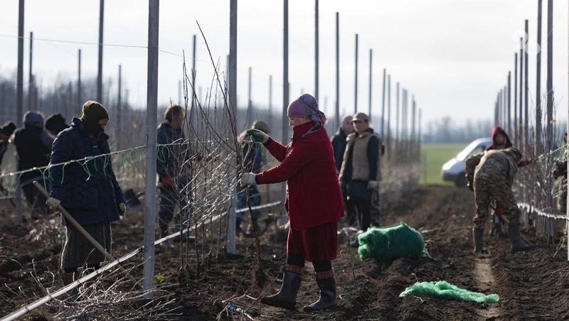 На Ставрополье подсчитали количество жителей села, считающих себя счастливыми