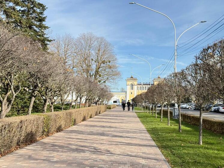 На Ставрополье расширили образовательные программы для участников СВО