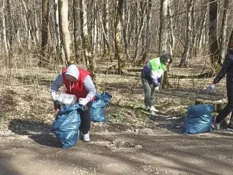 На Ставрополье стартовала акция по очистке лесов от отходов