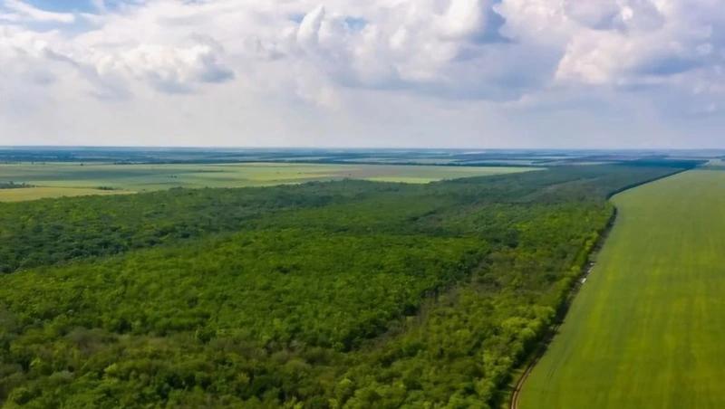 На Ставрополье запретили вырубки и стройки в заказнике &laquo;Лесная Дача&raquo;