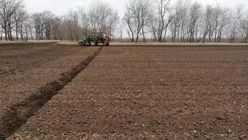 На Ставрополье засеяли более 30% от запланированных площадей сахарной свёклы