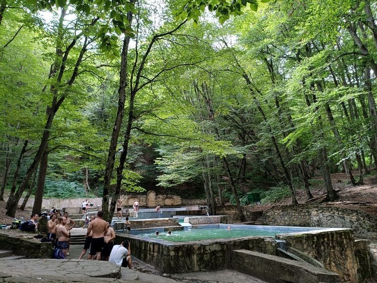 Общественная палата Ставрополя поддержала создание 7 терренкуров в Таманском лесу