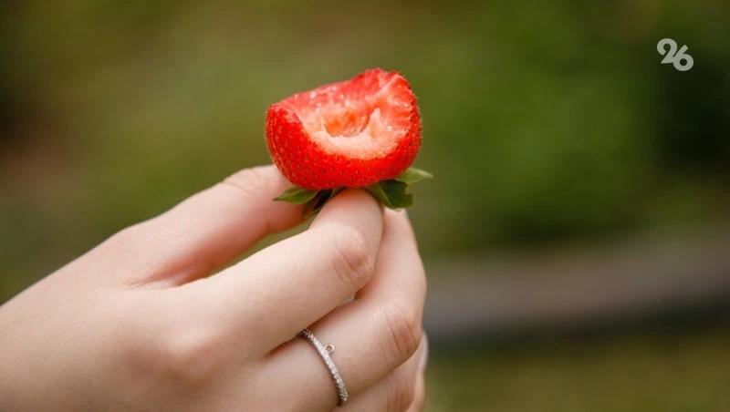 Первая местная клубника поступит в магазины Кубани в апреле