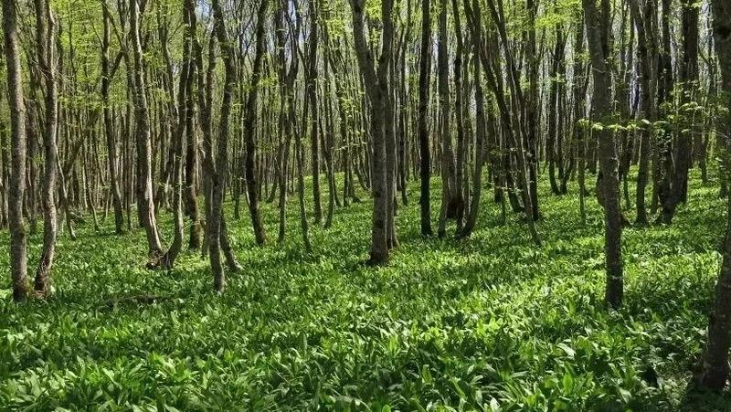 Пять экотроп Ставрополья готовят к приёму туристов