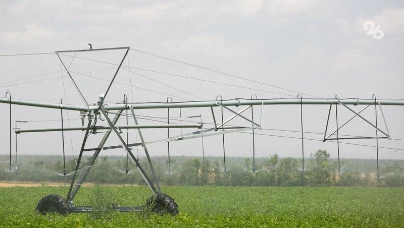 Площадь орошаемых земель на Ставрополье за пять лет выросла в шесть раз