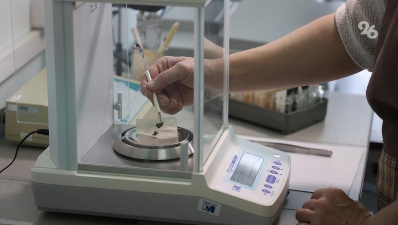 Подготовку семян к весеннему севу завершают в Ставропольском крае