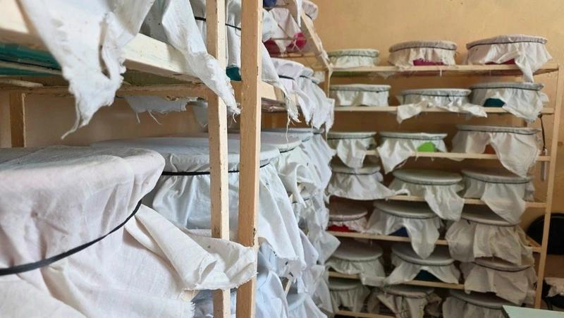 Предгорный округ отправит 3 млн насекомых для защиты полей юга России и Донбасса