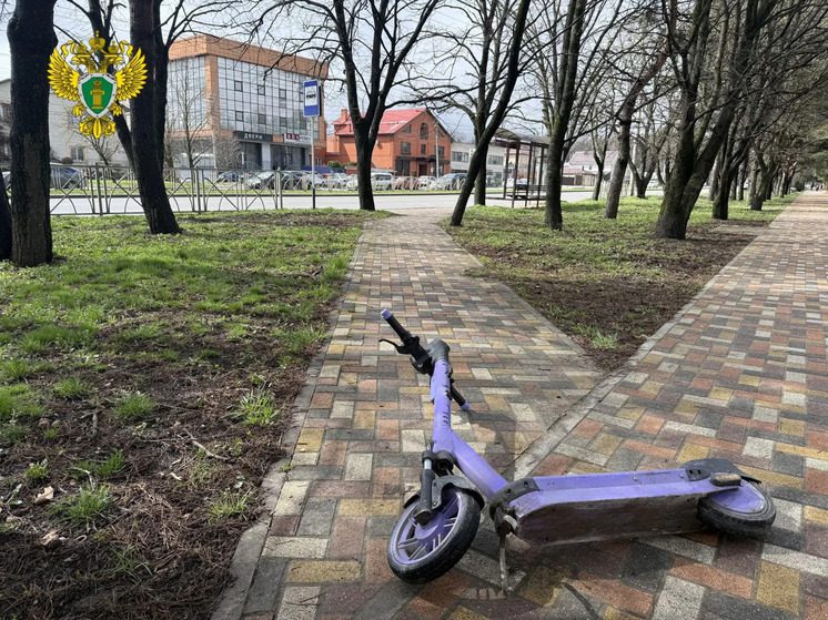 Прокуратура предостерегла операторов кикшеринга в Ставрополе из-за нарушений прав инвалидов