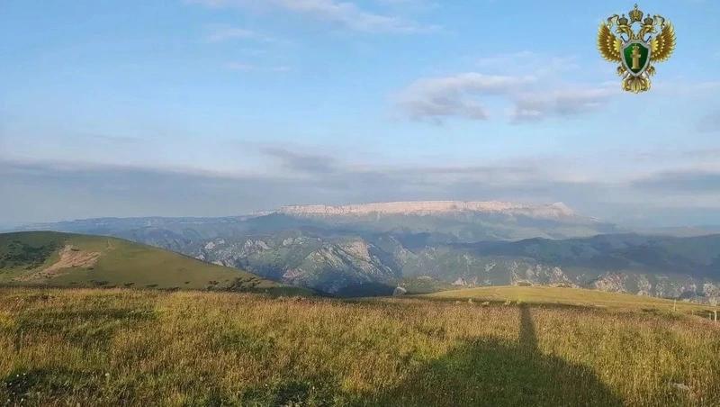 Прокуратура заставила охотхозяйство на Кавминводах построить вольер для зайцев