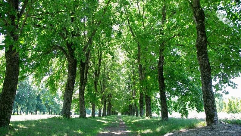 С 1 апреля на Ставрополье будут работать противопожарные патрули