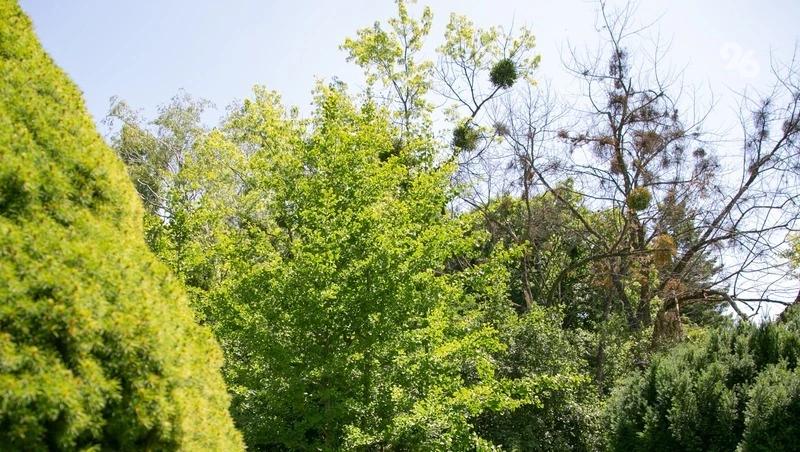 С 1 апреля на Ставрополье будут работать противопожарные патрули